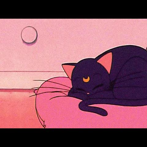 Mellow Vibe ● lofi study mix