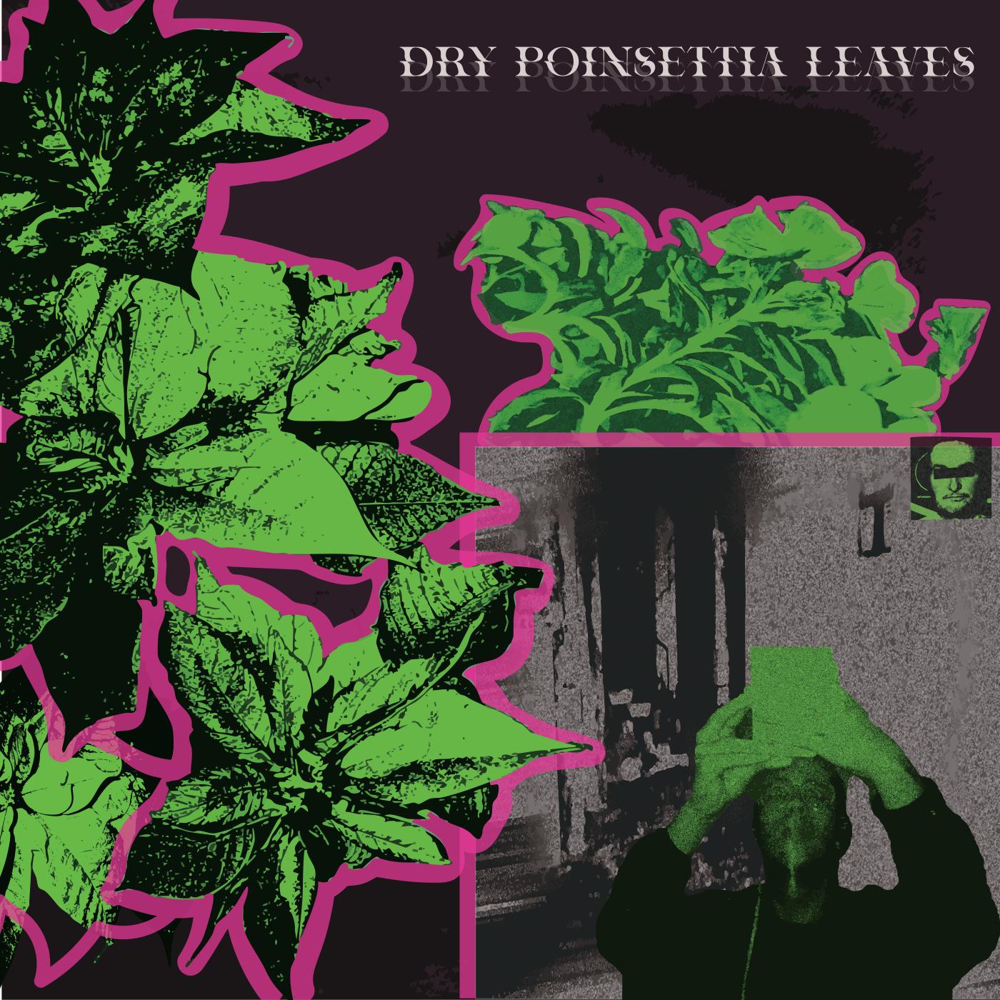 Dry Poinsettia Leaves - 15 Goblins Snorting Benzos