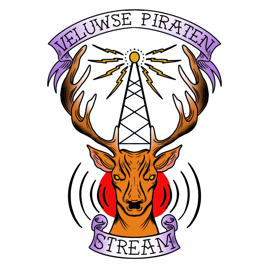 Nunspeets Piraten Team